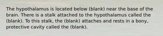 The hypothalamus is located below (blank) near the base of the brain. There is a stalk attached to the hypothalamus called the (blank). To this stalk, the (blank) attaches and rests in a bony, protective cavity called the (blank).