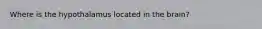 Where is the hypothalamus located in the brain?