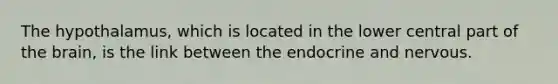 The hypothalamus, which is located in the lower central part of the brain, is the link between the endocrine and nervous.