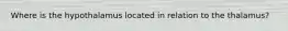 Where is the hypothalamus located in relation to the thalamus?