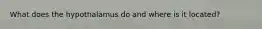 What does the hypothalamus do and where is it located?