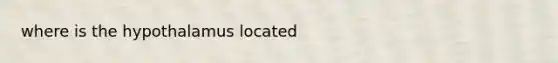 where is the hypothalamus located