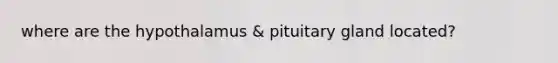 where are the hypothalamus & pituitary gland located?