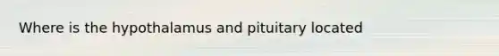 Where is the hypothalamus and pituitary located