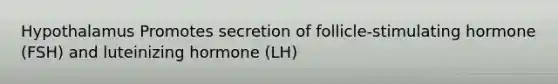 Hypothalamus Promotes secretion of follicle-stimulating hormone (FSH) and luteinizing hormone (LH)