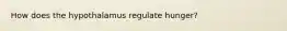 How does the hypothalamus regulate hunger?