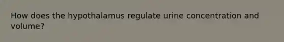 How does the hypothalamus regulate urine concentration and volume?