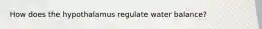 How does the hypothalamus regulate water balance?