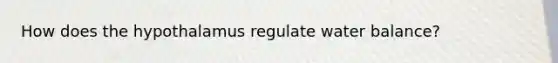 How does the hypothalamus regulate water balance?