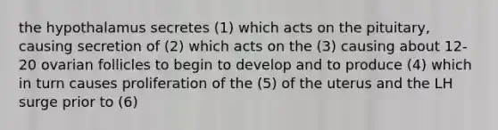 the hypothalamus secretes (1) which acts on the pituitary, causing secretion of (2) which acts on the (3) causing about 12-20 ovarian follicles to begin to develop and to produce (4) which in turn causes proliferation of the (5) of the uterus and the LH surge prior to (6)