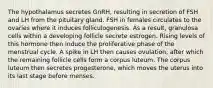 The hypothalamus secretes GnRH, resulting in secretion of FSH and LH from the pituitary gland. FSH in females circulates to the ovaries where it induces folliculogenesis. As a result, granulosa cells within a developing follicle secrete estrogen. Rising levels of this hormone then induce the proliferative phase of the menstrual cycle. A spike in LH then causes ovulation, after which the remaining follicle cells form a corpus luteum. The corpus luteum then secretes progesterone, which moves the uterus into its last stage before menses.