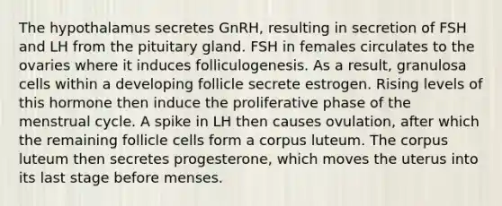 The hypothalamus secretes GnRH, resulting in secretion of FSH and LH from the pituitary gland. FSH in females circulates to the ovaries where it induces folliculogenesis. As a result, granulosa cells within a developing follicle secrete estrogen. Rising levels of this hormone then induce the proliferative phase of the menstrual cycle. A spike in LH then causes ovulation, after which the remaining follicle cells form a corpus luteum. The corpus luteum then secretes progesterone, which moves the uterus into its last stage before menses.