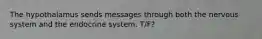 The hypothalamus sends messages through both the nervous system and the endocrine system. T/F?