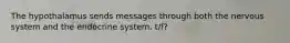 The hypothalamus sends messages through both the nervous system and the endocrine system. t/f?