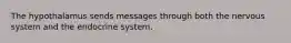 The hypothalamus sends messages through both the nervous system and the endocrine system.