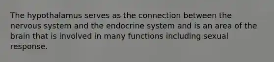 The hypothalamus serves as the connection between the nervous system and the endocrine system and is an area of the brain that is involved in many functions including sexual response.