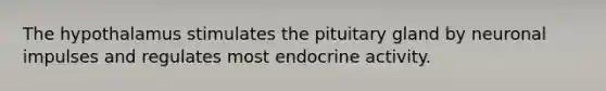 The hypothalamus stimulates the pituitary gland by neuronal impulses and regulates most endocrine activity.