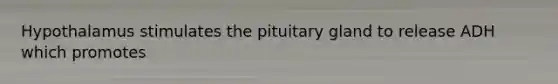 Hypothalamus stimulates the pituitary gland to release ADH which promotes