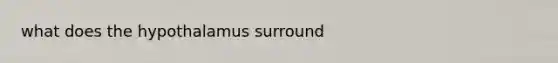 what does the hypothalamus surround