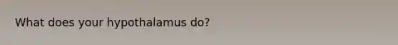 What does your hypothalamus do?