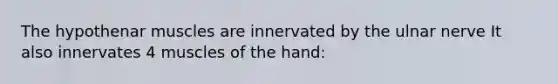 The hypothenar muscles are innervated by the ulnar nerve It also innervates 4 muscles of the hand: