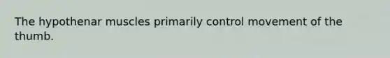 The hypothenar muscles primarily control movement of the thumb.