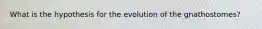 What is the hypothesis for the evolution of the gnathostomes?