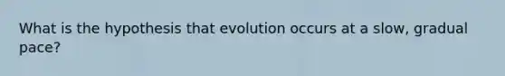 What is the hypothesis that evolution occurs at a slow, gradual pace?