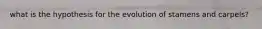 what is the hypothesis for the evolution of stamens and carpels?