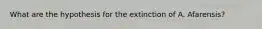 What are the hypothesis for the extinction of A. Afarensis?