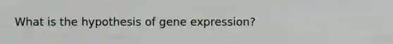 What is the hypothesis of gene expression?