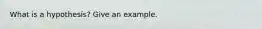 What is a hypothesis? Give an example.