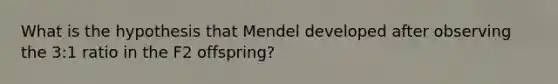 What is the hypothesis that Mendel developed after observing the 3:1 ratio in the F2 offspring?