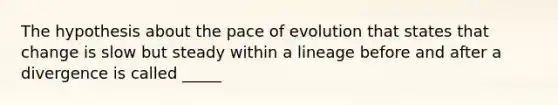 The hypothesis about the pace of evolution that states that change is slow but steady within a lineage before and after a divergence is called _____