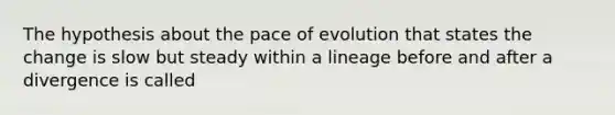 The hypothesis about the pace of evolution that states the change is slow but steady within a lineage before and after a divergence is called