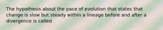 The hypothesis about the pace of evolution that states that change is slow but steady within a lineage before and after a divergence is called