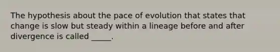 The hypothesis about the pace of evolution that states that change is slow but steady within a lineage before and after divergence is called _____.