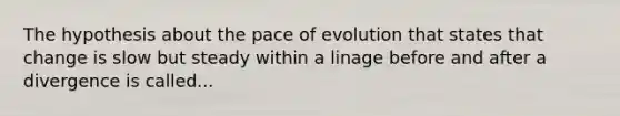 The hypothesis about the pace of evolution that states that change is slow but steady within a linage before and after a divergence is called...