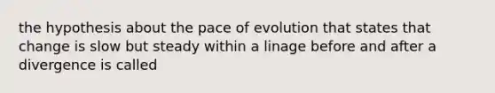 the hypothesis about the pace of evolution that states that change is slow but steady within a linage before and after a divergence is called