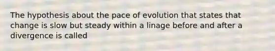 The hypothesis about the pace of evolution that states that change is slow but steady within a linage before and after a divergence is called