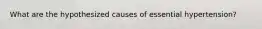 What are the hypothesized causes of essential hypertension?