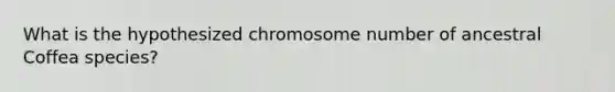 What is the hypothesized chromosome number of ancestral Coffea species?