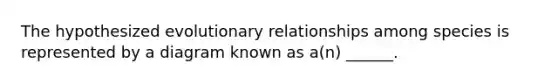 The hypothesized evolutionary relationships among species is represented by a diagram known as a(n) ______.