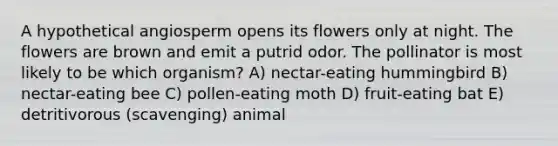 A hypothetical angiosperm opens its flowers only at night. The flowers are brown and emit a putrid odor. The pollinator is most likely to be which organism? A) nectar-eating hummingbird B) nectar-eating bee C) pollen-eating moth D) fruit-eating bat E) detritivorous (scavenging) animal