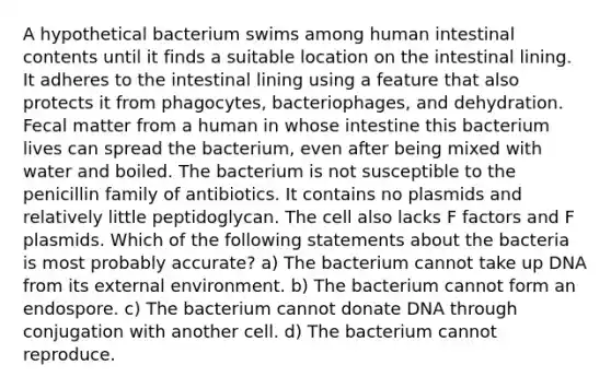 A hypothetical bacterium swims among human intestinal contents until it finds a suitable location on the intestinal lining. It adheres to the intestinal lining using a feature that also protects it from phagocytes, bacteriophages, and dehydration. Fecal matter from a human in whose intestine this bacterium lives can spread the bacterium, even after being mixed with water and boiled. The bacterium is not susceptible to the penicillin family of antibiotics. It contains no plasmids and relatively little peptidoglycan. The cell also lacks F factors and F plasmids. Which of the following statements about the bacteria is most probably accurate? a) The bacterium cannot take up DNA from its external environment. b) The bacterium cannot form an endospore. c) The bacterium cannot donate DNA through conjugation with another cell. d) The bacterium cannot reproduce.