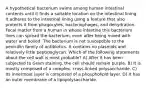 A hypothetical bacterium swims among human intestinal contents until it finds a suitable location on the intestinal lining. It adheres to the intestinal lining using a feature that also protects it from phagocytes, bacteriophages, and dehydration. Fecal matter from a human in whose intestine this bacterium lives can spread the bacterium, even after being mixed with water and boiled. The bacterium is not susceptible to the penicillin family of antibiotics. It contains no plasmids and relatively little peptidoglycan. Which of the following statements about the cell wall is most probable? A) After it has been subjected to Gram staining, the cell should remain purple. B) It is mostly composed of a complex, cross-linked polysaccharide. C) Its innermost layer is composed of a phospholipid layer. D) It has an outer membrane of a lipopolysaccharide.