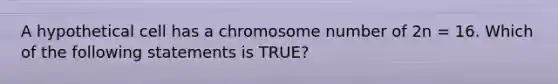 A hypothetical cell has a chromosome number of 2n = 16. Which of the following statements is TRUE?