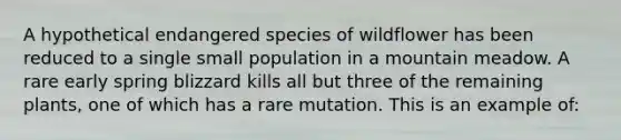 A hypothetical endangered species of wildflower has been reduced to a single small population in a mountain meadow. A rare early spring blizzard kills all but three of the remaining plants, one of which has a rare mutation. This is an example of: