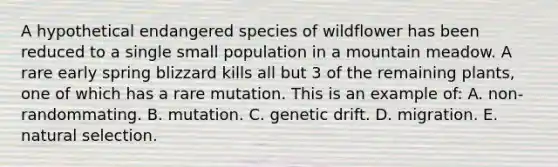 A hypothetical endangered species of wildflower has been reduced to a single small population in a mountain meadow. A rare early spring blizzard kills all but 3 of the remaining plants, one of which has a rare mutation. This is an example of: A. non-randommating. B. mutation. C. genetic drift. D. migration. E. natural selection.