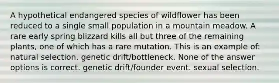 A hypothetical endangered species of wildflower has been reduced to a single small population in a mountain meadow. A rare early spring blizzard kills all but three of the remaining plants, one of which has a rare mutation. This is an example of: natural selection. genetic drift/bottleneck. None of the answer options is correct. genetic drift/founder event. sexual selection.